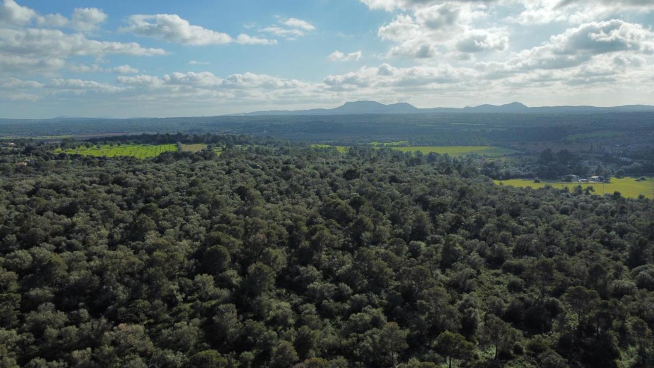 Magnifica Villa Tranquila En El Centro De Mallorca Biniali  Exteriör bild